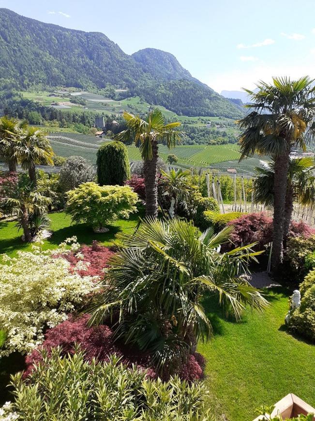 Pension Zum Burggraefler Schenna Exterior foto